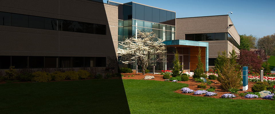 Seattle Landscapers