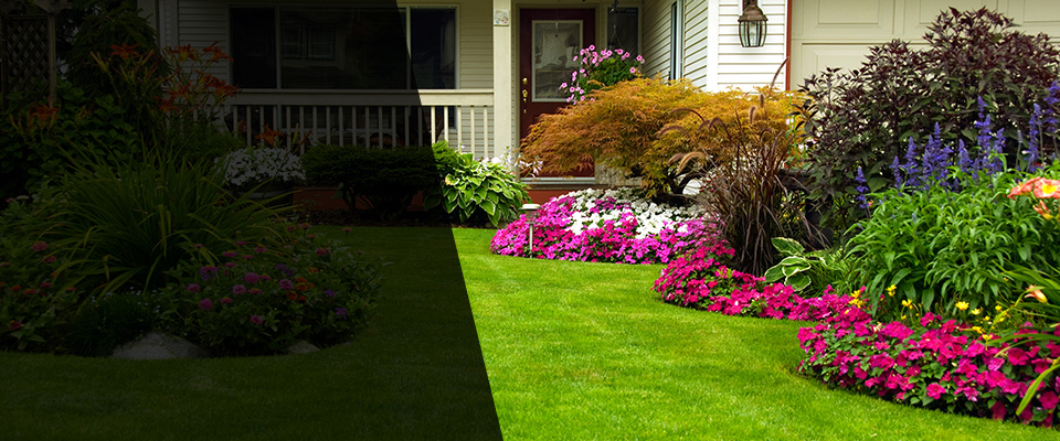 Seattle Landscapers