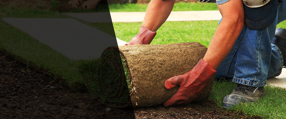 Seattle Landscapers